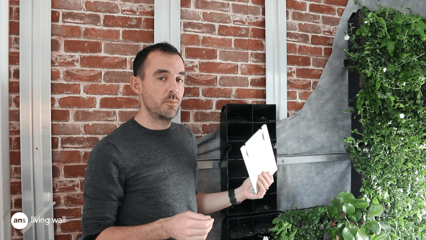 How much does a living wall cost?